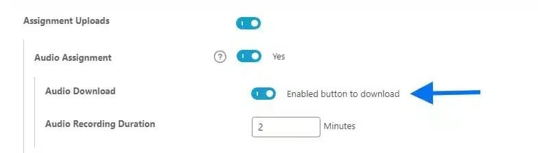 wpinnovators product audio assignment for learndash audio download settings image wpinnovators product audio assignment for learndash audio download settings image