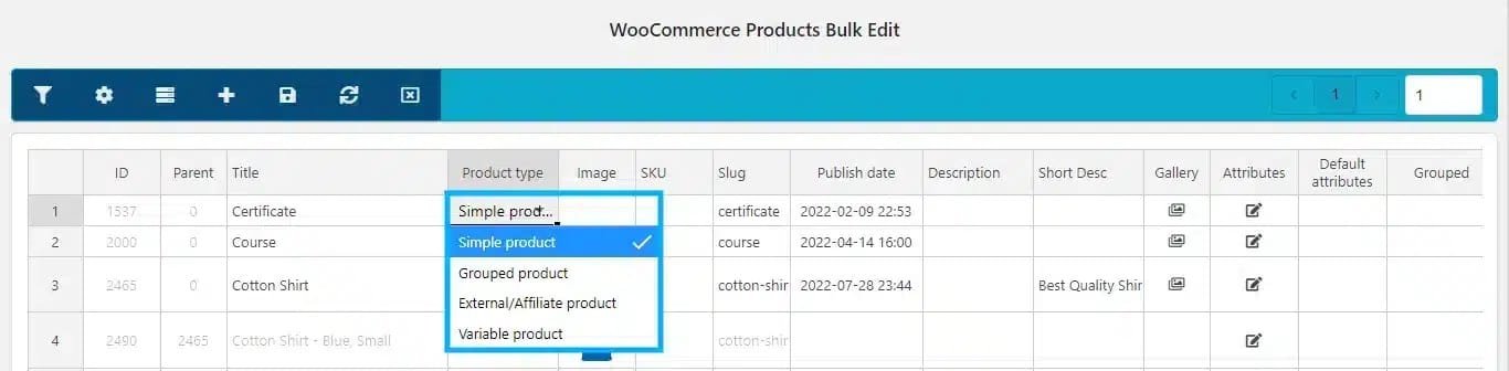 wpinnovators product products bulk editor for woocommerce edit product type image